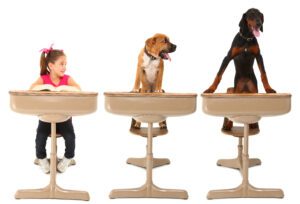 A girl and two dogs sitting on chairs